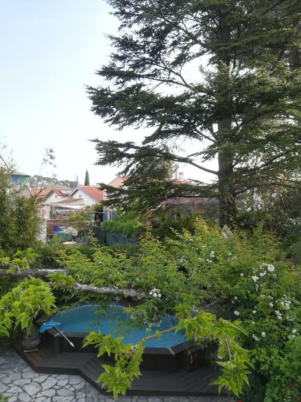 Grand Avec Piscine Apartment *